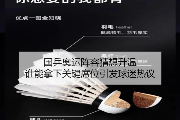 国乒奥运阵容猜想升温 谁能拿下关键席位引发球迷热议