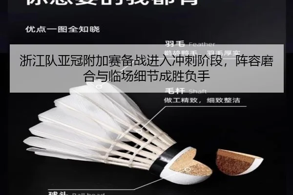 浙江队亚冠附加赛备战进入冲刺阶段，阵容磨合与临场细节成胜负手